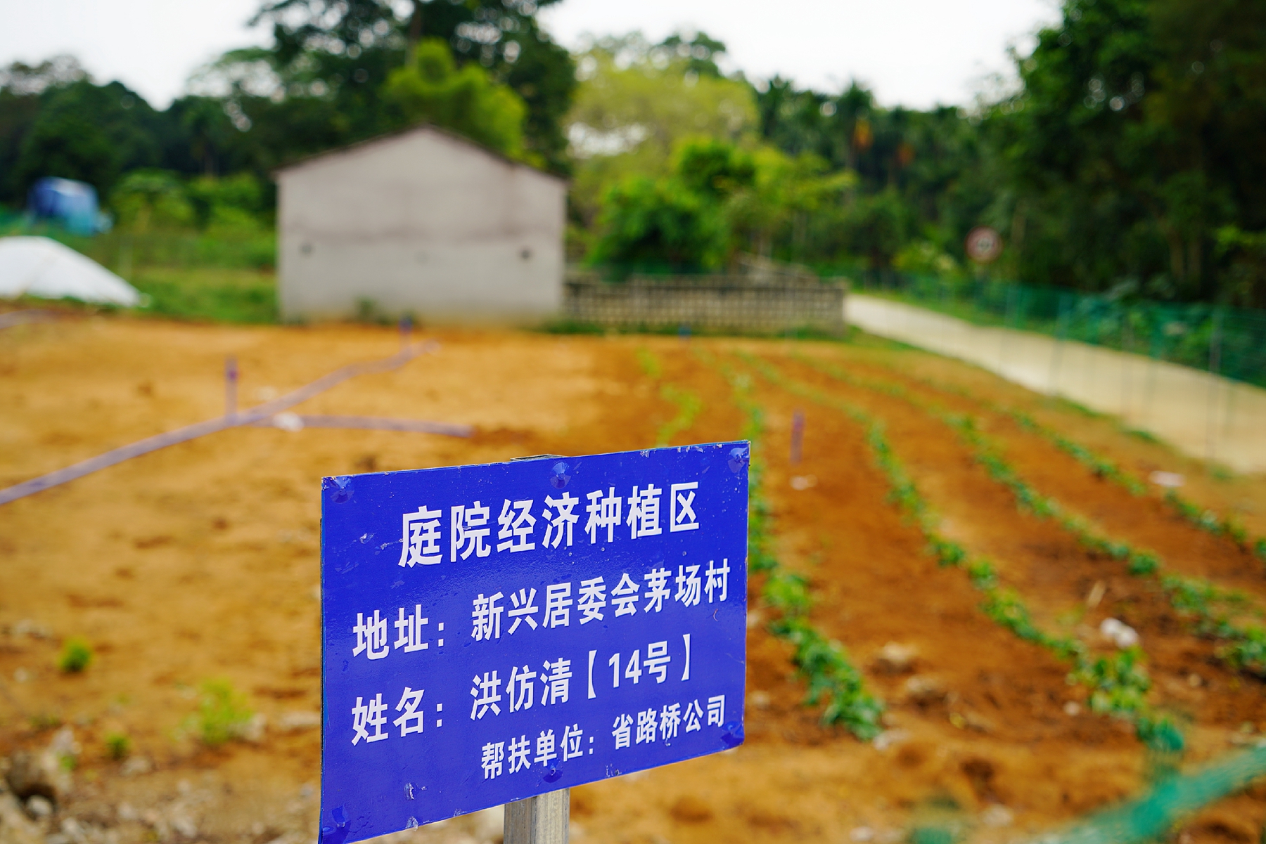 佰利乐·(中国区)有限公司官网